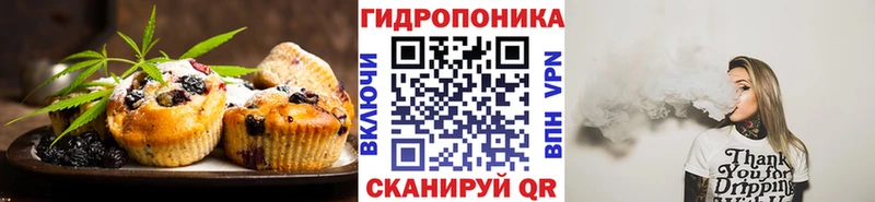 цены наркотик  мега ONION  Cannafood марихуана  Новодвинск 