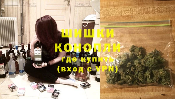 ПСИЛОЦИБИНОВЫЕ ГРИБЫ Аркадак