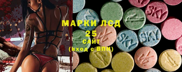 ПСИЛОЦИБИНОВЫЕ ГРИБЫ Аркадак