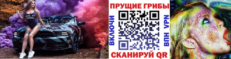 Псилоцибиновые грибы прущие грибы мега tor Новодвинск купить наркотики цена